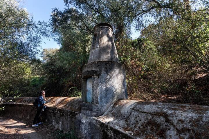 Monte Do Serrado De Baixo - T4 Évora Exteriér fotografie